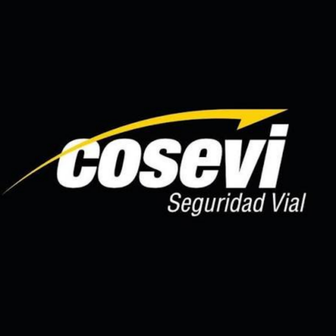 Consejo de Seguridad Vial